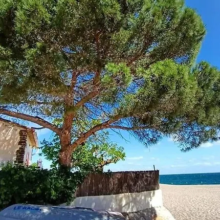 Climatise 2 Pieces Avec Piscine Et Tennis A 500m De La Plage, - Fr-1-776-42 Argelès-sur-Mer