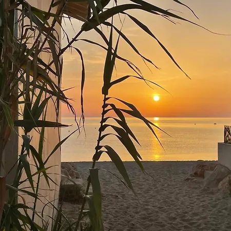 Apartmán Climatise 2 Pieces Avec Piscine Et Tennis A 500m De La Plage, - Fr-1-776-42 Argelès-sur-Mer