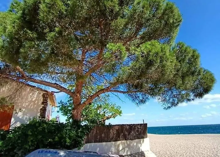 Climatise 2 Pieces Avec Piscine Et Tennis A 500m De La Plage, - Fr-1-776-42 أرجيليه- سور- مير